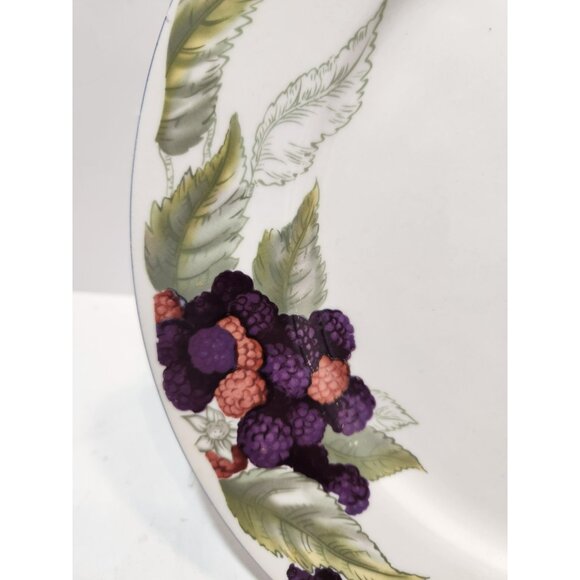 Todays Home Stoneware Fruit Dinner Plates 10.5" Set of 4 Red Green Yellow Purple - Picture 6 of 8
